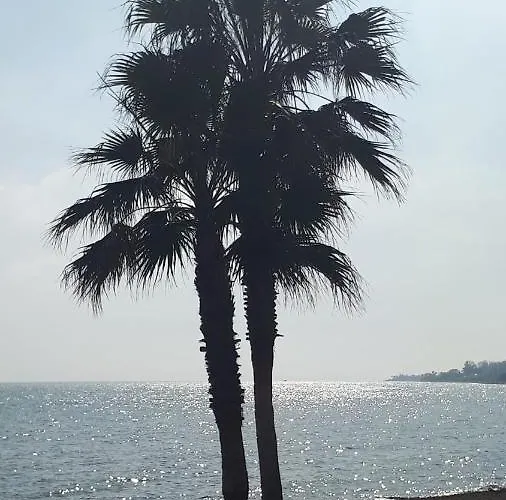 El Paraiso Golf Y Playa Естепона